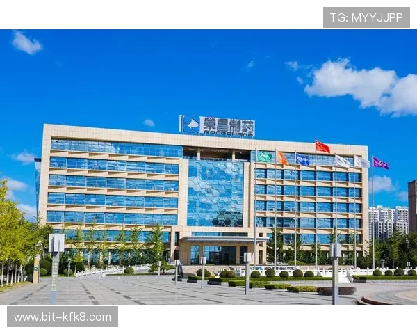 凯发集团官网：优惠活动与奖励机制详细解析